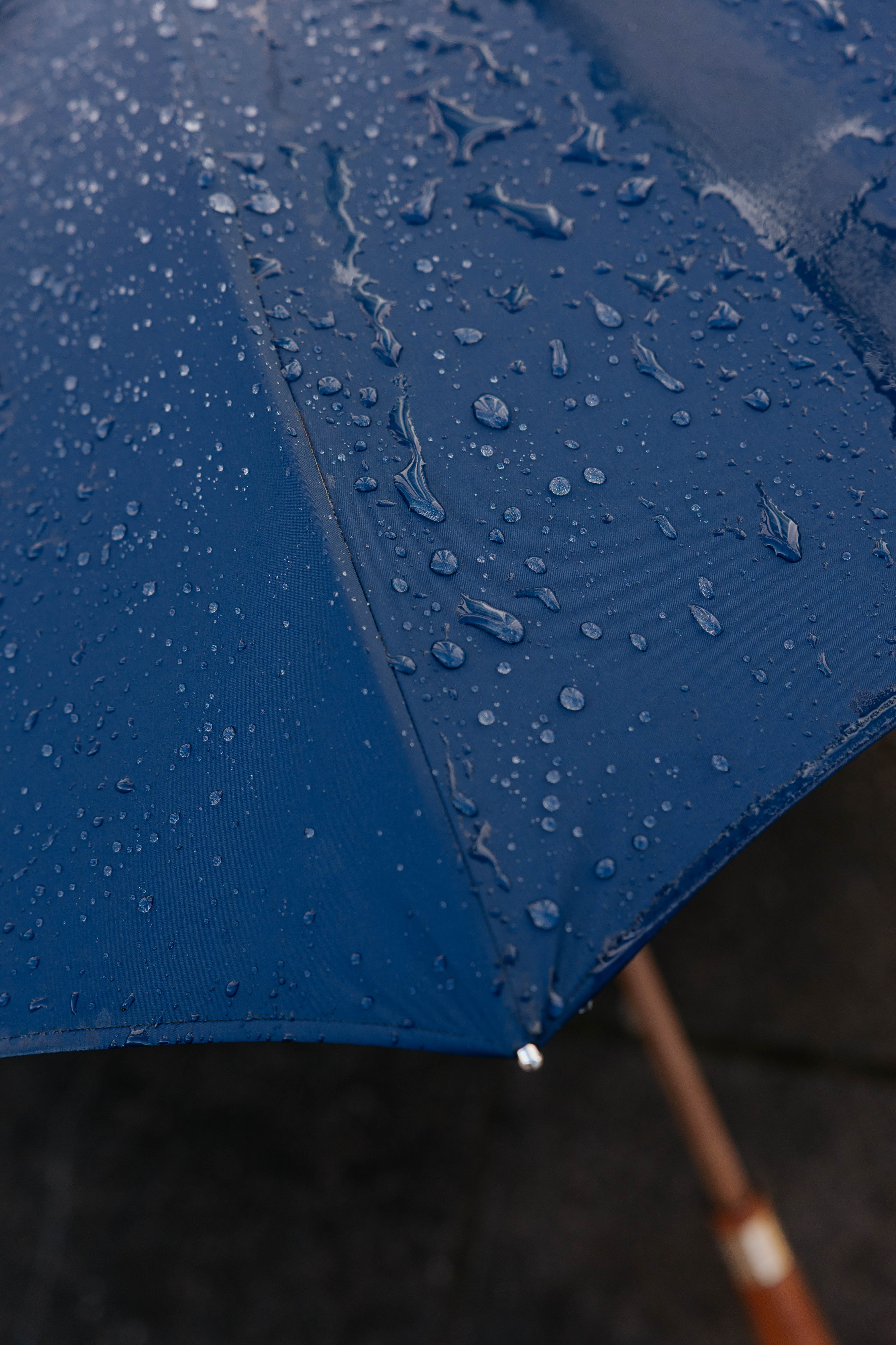 Coffret à monter soi même - Parapluie Excellence 1705 - Bleu marine